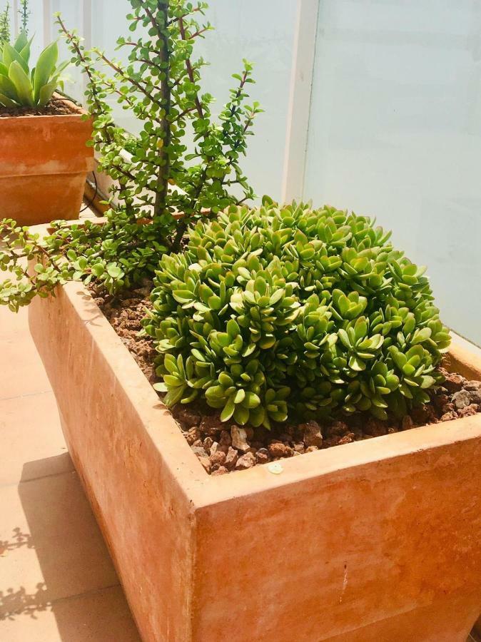 Penthouse La Paz 9 - Castle View Apartman Moraira Kültér fotó